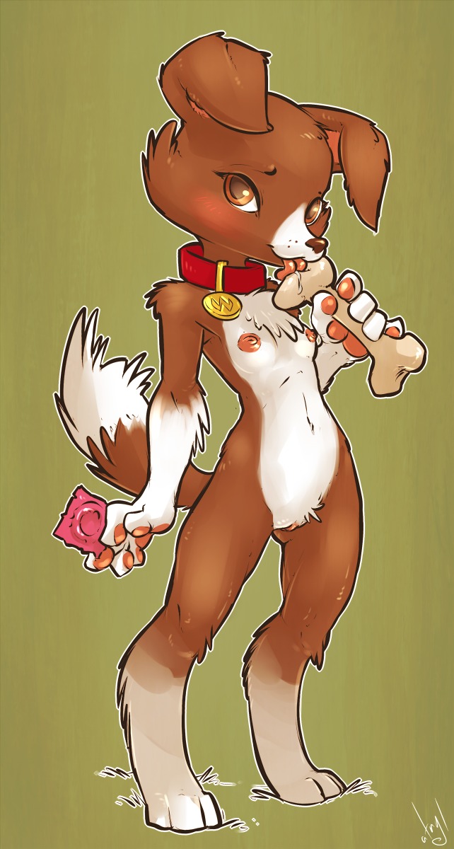 2013 anthro anthrofied atryl blush bone breasts brown_body brown_eyes brown_fur canid canine canis collar condom digital_media_(artwork) dipstick_tail domestic_dog e621 female friendship_is_magic fur genitals hasbro hi_res looking_at_viewer mammal markings my_little_pony nipples offering_condom sexual_barrier_device simple_background solo tail tail_markings tongue vulva white_body white_fur winona_(mlp)