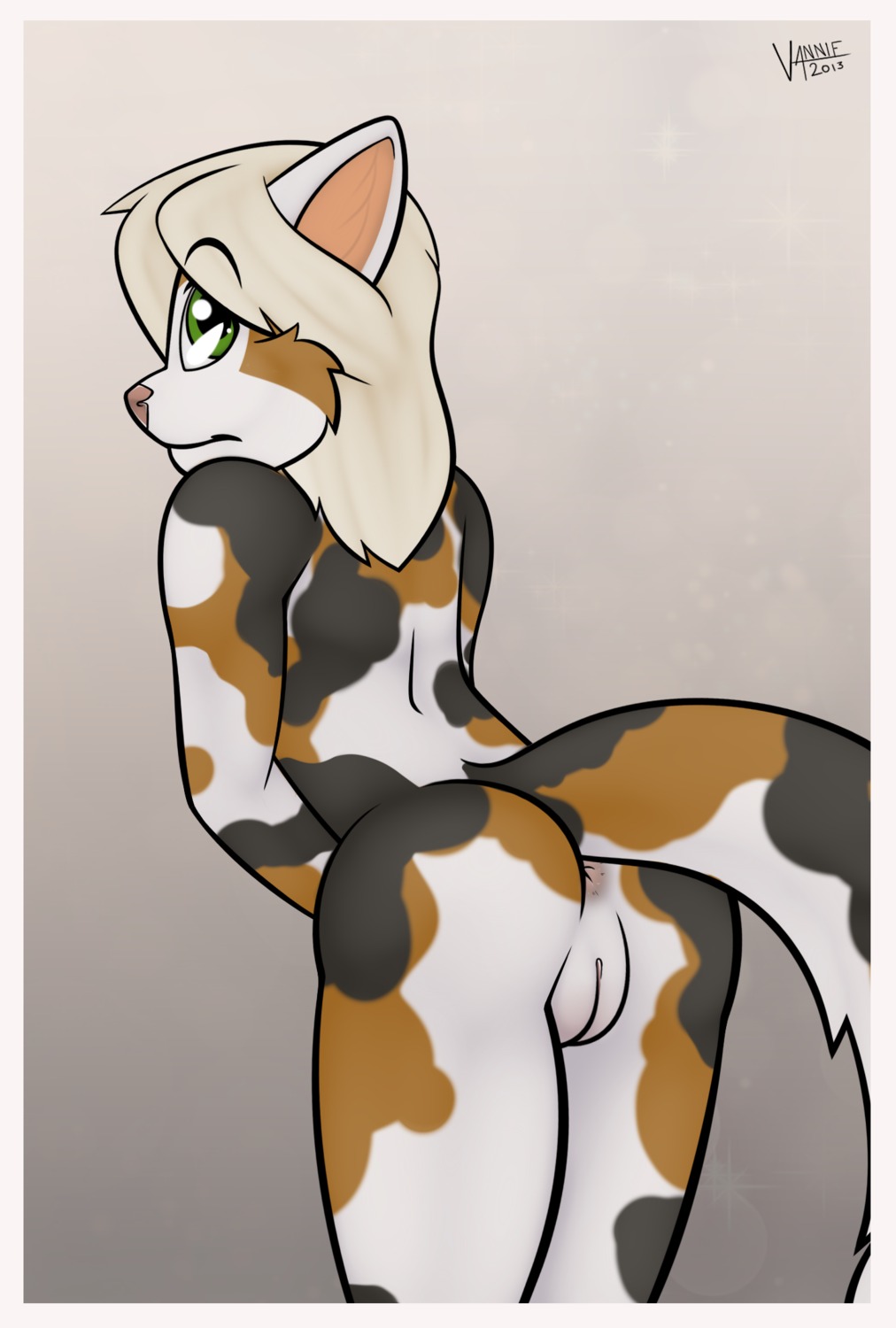 2013 anthro anus bent_over border butt calico_cat domestic_cat e621 felid feline felis female genitals green_eyes hi_res looking_at_viewer looking_back mammal mottled nude piebald presenting presenting_hindquarters raised_tail selene_blackcat solo tail vannie vulva white_border