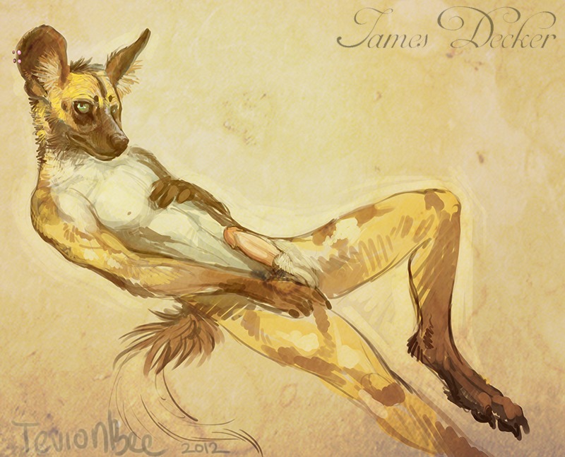 african_wild_dog balls canid canine e621 ear_piercing erection genitals humanoid_genitalia humanoid_penis looking_at_viewer lying male mammal nude on_back penis piercing solo tail tevionbee