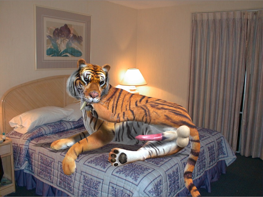 3d_(artwork) animal_genitalia balls bed big_balls big_penis digital_media_(artwork) e621 erection fangs felid feral fur furniture genitals inside lamp letterbox looking_at_viewer lying male mammal on_bed on_side orange_body orange_fur painting_(object) pantherine penis prehistoric_species presenting realistic_feral saber-toothed_tiger sheath solo spread_legs spreading tapiko teeth tiger white_body white_fur