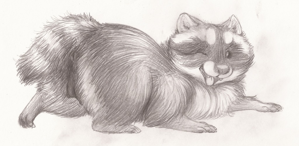 2013 animal_genitalia animal_vulva barely_visible_genitalia barely_visible_vulva black_teats black_vulva butt coonpoof cute_fangs e621 fangs female feral fluffy genitals happy looking_at_viewer lowered_tail lying mammal markings monochrome no_sclera on_front one_eye_closed presenting presenting_hindquarters procyonid raccoon simple_background sketch smile solo striped_markings striped_tail stripes tail tail_aside tail_markings teats teeth tongue tongue_out vulva wink winking_at_viewer
