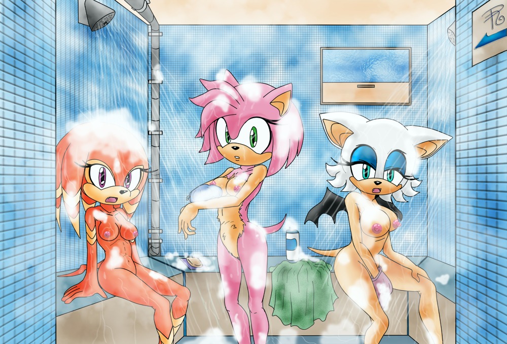 amy_rose anthro bat blue_eyes breasts e621 echidna eulipotyphlan female green_eyes group hedgehog looking_at_viewer mammal monotreme nipples nude pink_body purple_eyes raianonzika rouge_the_bat sega shade_the_echidna shower sonic_chronicles:_the_dark_brotherhood sonic_the_hedgehog_(series) tail