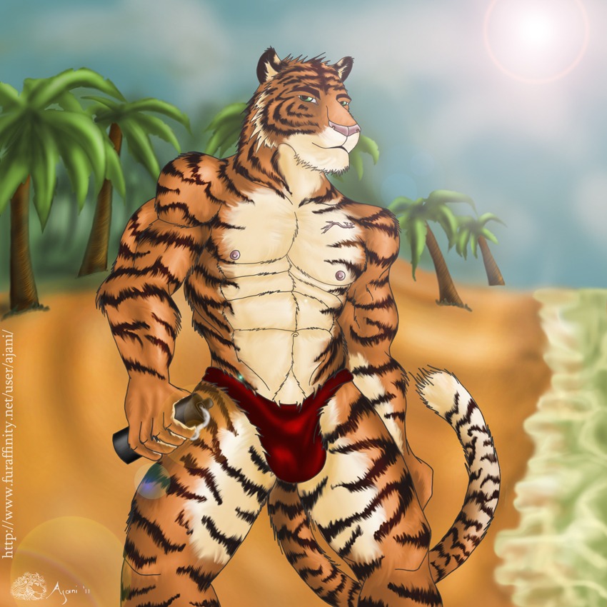 1:1 ajani_(artist) anthro balls_outline beach bulge clothed clothing cloud detailed_bulge e621 felid genital_outline male mammal muscular muscular_anthro muscular_male outside pantherine penis_outline seaside skimpy sky solo speedo stripes swimwear tail tiger topless