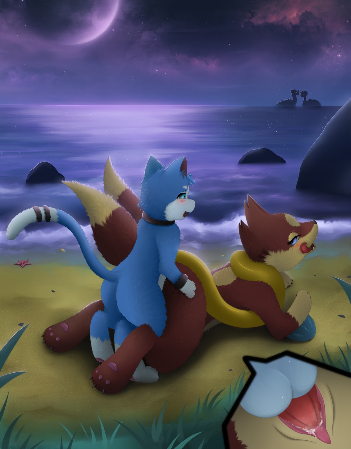 absurd_res all_fours assimilative_feline balls beach blue_eyes blush bodily_fluids close-up cloud cum cum_in_vagina cum_inside detailed_background doggystyle duo e621 erection eye_contact female female_penetrated feral floatzel from_behind_position fur generation_1_pokemon generation_4_pokemon genital_fluids genitals hi_res hybrid interspecies lapras larger_sub legendary_pokemon looking_at_another looking_back lying male male/female male_penetrating male_penetrating_female mammal meraence mew_(pokemon) multi_tail night nintendo on_front open_mouth outside penetration penile penile_penetration penis penis_in_vagina pokemon pokemon_(species) quetzalli_(darkmirage) seaside sex sex_on_the_beach size_difference sky star starry_sky submissive tail tongue tongue_out vaginal vaginal_penetration vulva