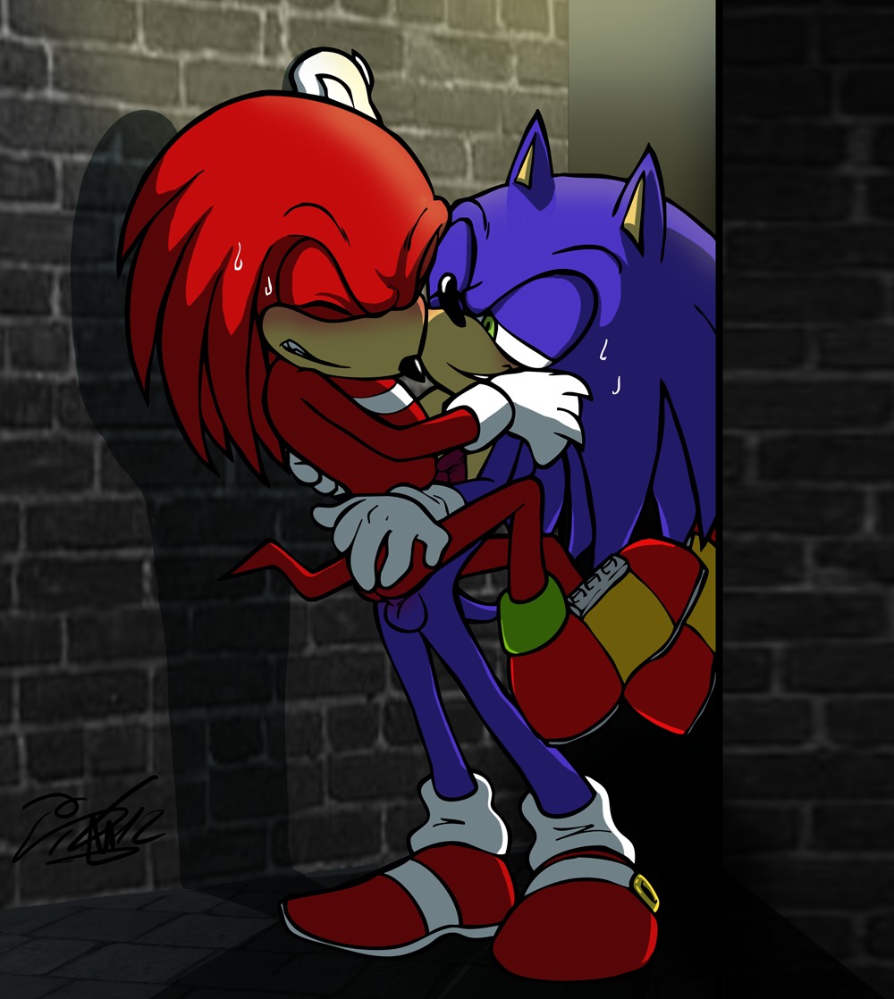 2012 anthro echidna furry hedgehog knuckles_the_echidna male male_only multiple_males rockgaara rule34 sega sonic_(series) sonic_the_hedgehog sonic_the_hedgehog_(series) sonknux tagme yaoi