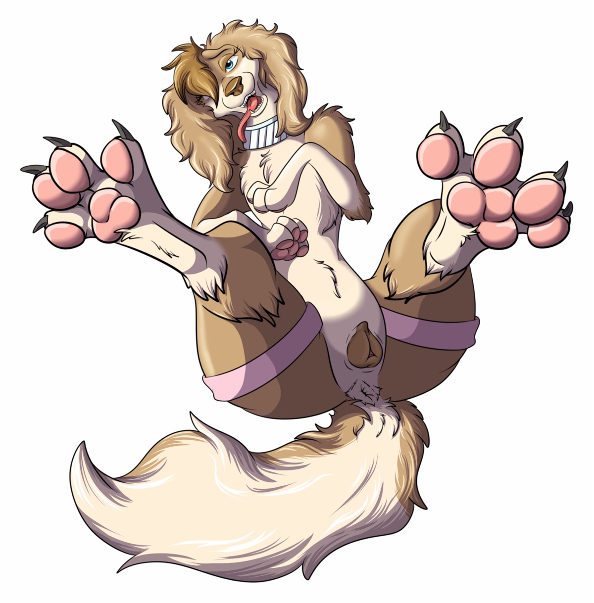 2013 4_toes anatomically_correct anatomically_correct_genitalia anatomically_correct_vulva animal_genitalia animal_vulva anus butt canid canine canine_genitalia canine_vulva canis claws collar conditional_dnp digital_media_(artwork) digitigrade domestic_dog e621 feet female feral foot_focus fur genitals hair hi_res hindpaw hunting_dog legs_up looking_at_viewer lying mammal nomad_genesis on_back open_mouth pawpads paws presenting psy101 saluki sighthound simple_background soles solo spread_legs spread_toes spreading suki_(psy101) tail teeth toes tongue tongue_out vulva white_background