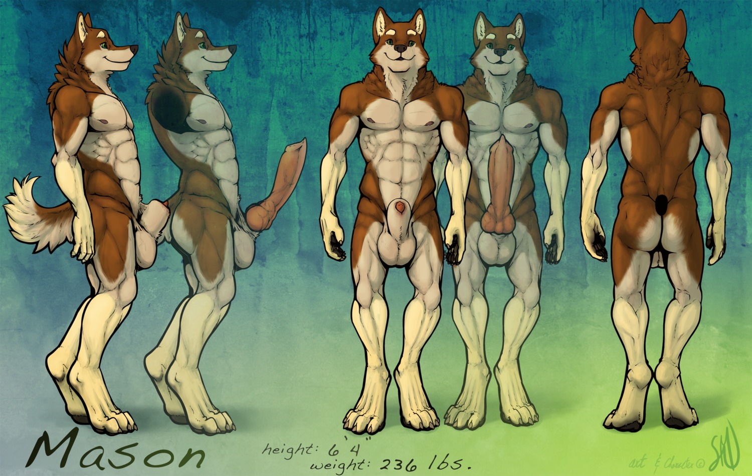 2011 abs akita akita_inu animal_genitalia animal_penis anthro backsack balls biceps big_balls big_penis biped canid canine canine_genitalia canine_penis canis domestic_dog e621 erection front_view genitals hi_res huge_penis knot looking_at_viewer male mammal mason_(suck_mcjones) model_sheet muscular muscular_anthro muscular_male nipples nude pecs penis side_view simple_background smile solo spitz standing suck_mcjones tail thick_penis turnaround vein
