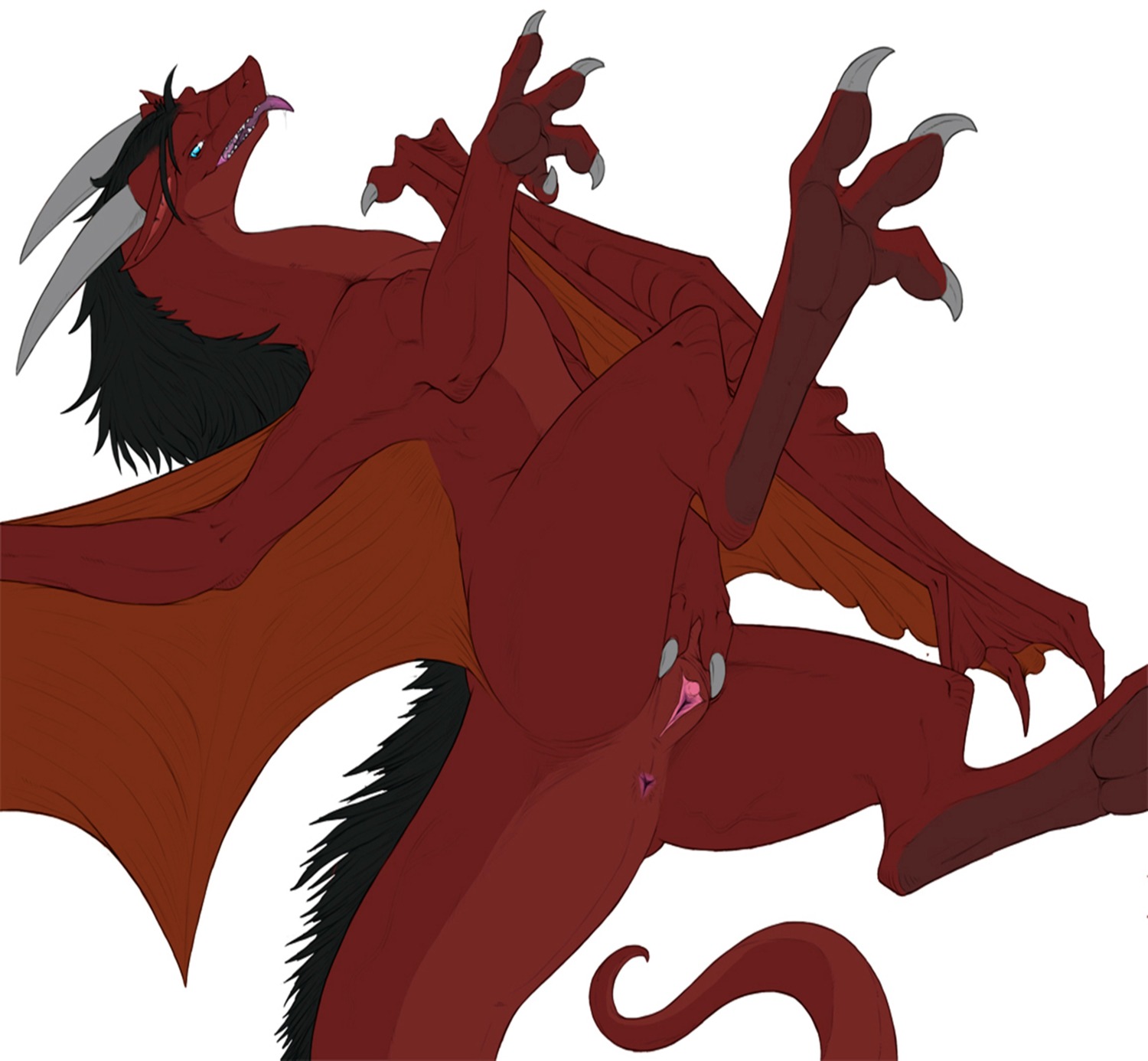 absurd_res anus claws dragon e621 european_mythology feet female feral genitals hi_res hindpaw horn membrane_(anatomy) membranous_wings mythological_creature mythological_scalie mythology narse pawpads paws presenting presenting_vulva red_body ries riesy scalie simple_background solo spread_legs spread_vulva spreading tail tongue tongue_out vulva western_dragon white_background wings
