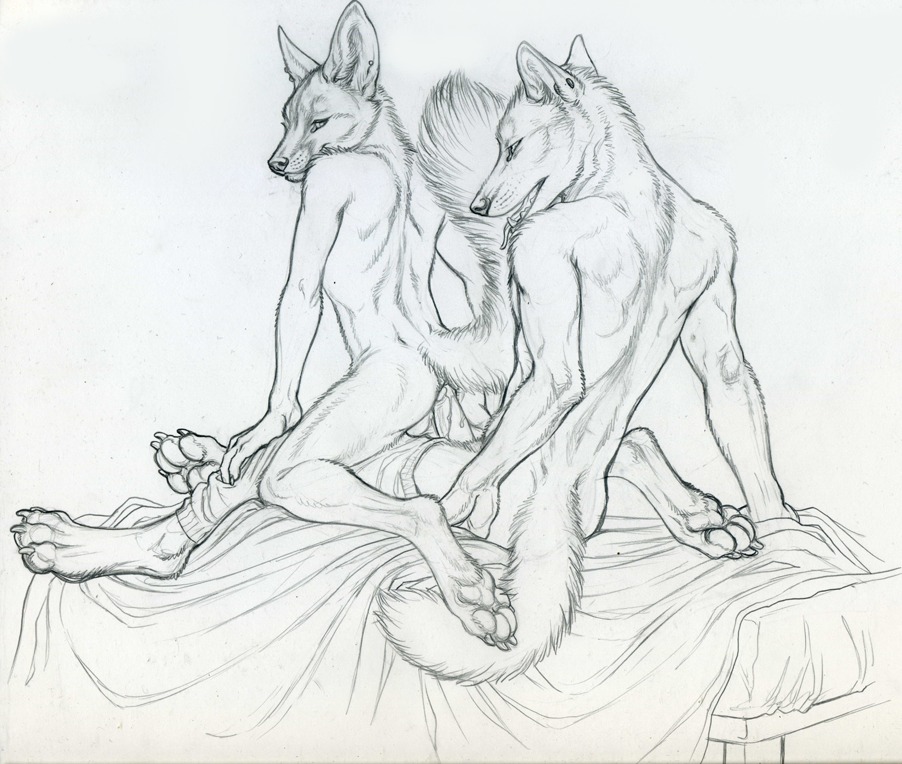 4_toes anal anal_penetration anthro bed bedding blanket bodily_fluids canid canine canis claws clothing cum digitigrade duo e621 erection feet fennec_fox fox furniture genital_fluids genitals greyscale hindpaw male male/male male_penetrated male_penetrating male_penetrating_male mammal marcus_(rukis) monochrome nude pawpads paws penetration penis reis rukis sex simple_background soles tail toes true_fox underwear white_background wolf