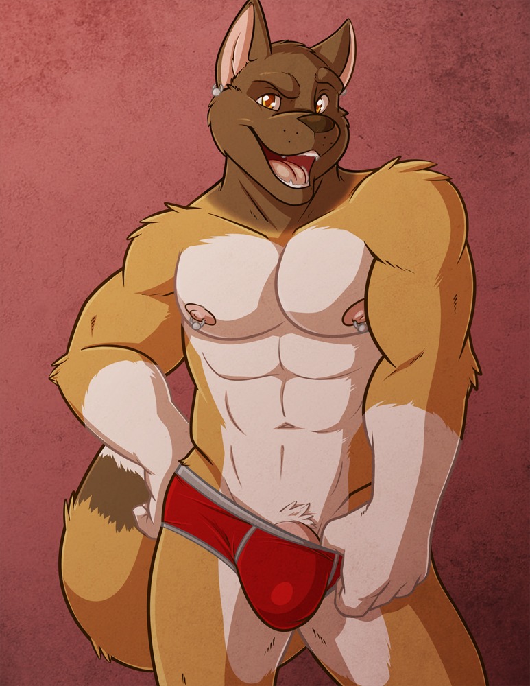 2013 abs akita amber_eyes anthro biceps big_muscles biped briefs brown_nose bulge canid canine canis clamcrusher clothed clothing clothing_pull domestic_dog e621 ear_piercing eyebrows fangs front_view fur genitals hand_on_hip humanoid_genitalia humanoid_penis hurst leg_markings looking_at_viewer male mammal markings multicolored_body multicolored_fur muscular muscular_anthro muscular_male naughty_face navel nipple_piercing nipples open_mouth panties panty_pull pecs penis penis_base piercing pinup pose pubes raised_eyebrow seductive simple_background socks_(marking) solo spitz standing teeth textured_background tongue topless two_tone_body two_tone_fur underwear underwear_pull undressing white_body white_fur yellow_body yellow_fur