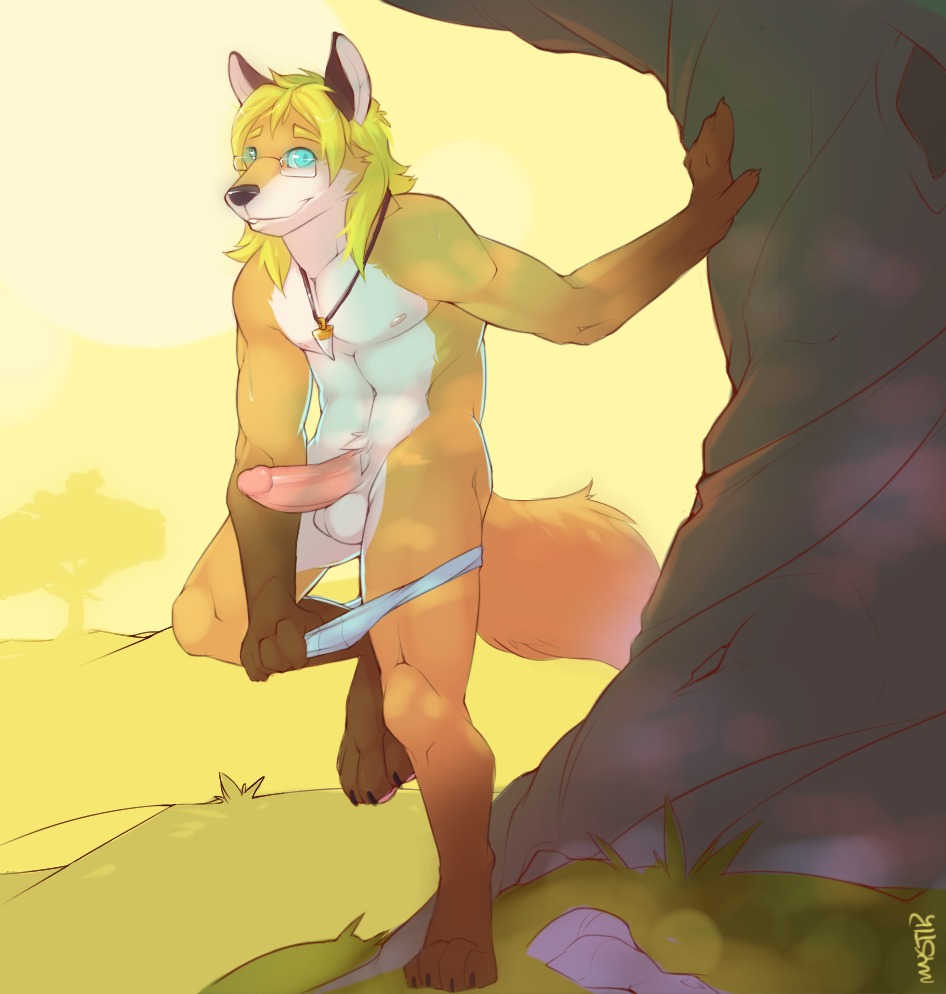 2013 anthro balls big_penis biped blonde_hair blue_eyes brown_body brown_fur canid canine clothed clothing e621 erection eyewear feet fox fur genitals glasses grass hair hindpaw jcfox jewelry long_hair looking_at_viewer male mammal muscular muscular_anthro muscular_male mystikfox61 necklace orange_body orange_fur outside partially_clothed paws pecs penis plant solo sunset topless tree underwear underwear_down undressing white_body white_fur