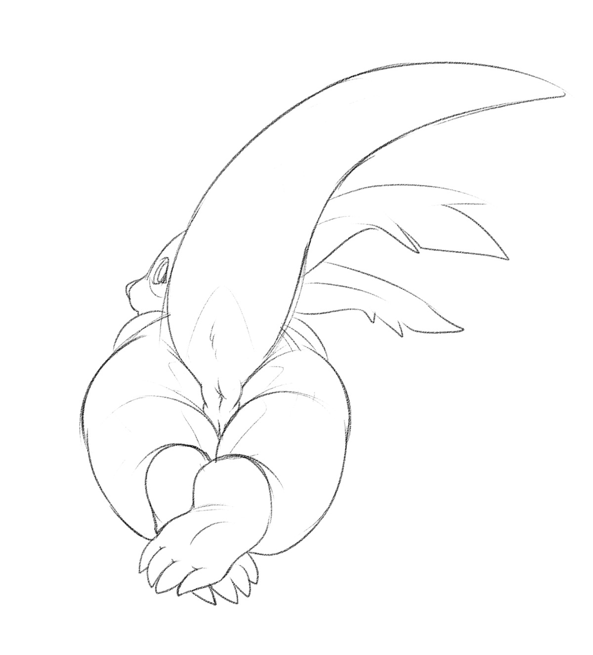 2014 anthro anus bucketofpomf butt chua claws e621 feet female genitals hi_res looking_at_viewer looking_back mammal monochrome presenting raised_tail simple_background sketch soles solo tail vulva white_background wildstar
