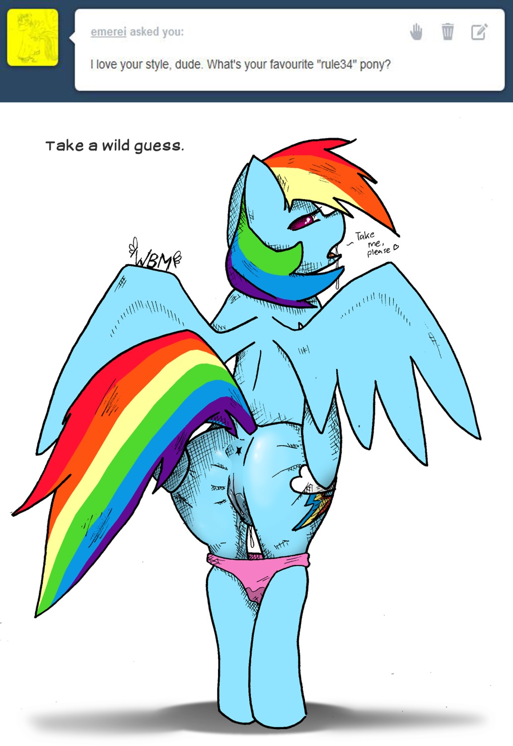 2013 anthro anus biped blue_body blue_feathers blue_fur butt clothing cutie_mark e621 english_text equid equine feathered_wings feathers female friendship_is_magic fur genitals hair hasbro heart_symbol hi_res looking_at_viewer looking_back mammal multicolored_hair multicolored_tail my_little_pony mythological_creature mythological_equine mythology panties pegasus presenting presenting_hindquarters purple_eyes rainbow_dash_(mlp) rainbow_hair rainbow_tail simple_background solo standing tail text the-wag tumblr underwear vulva white_background wings