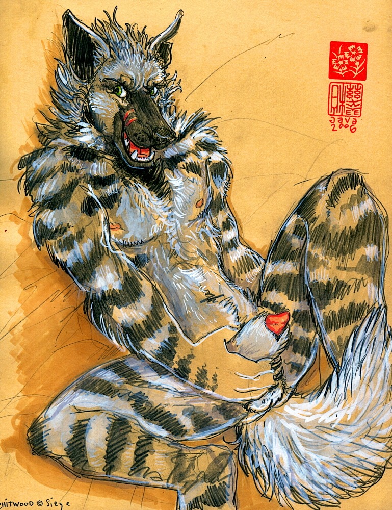 animal_genitalia animal_penis anthro canine_genitalia canine_penis chitwood detached_sheath e621 erection genitals hyena java male mammal masturbation penile penile_masturbation penis penis_tip sheath siege solo striped_hyena tail