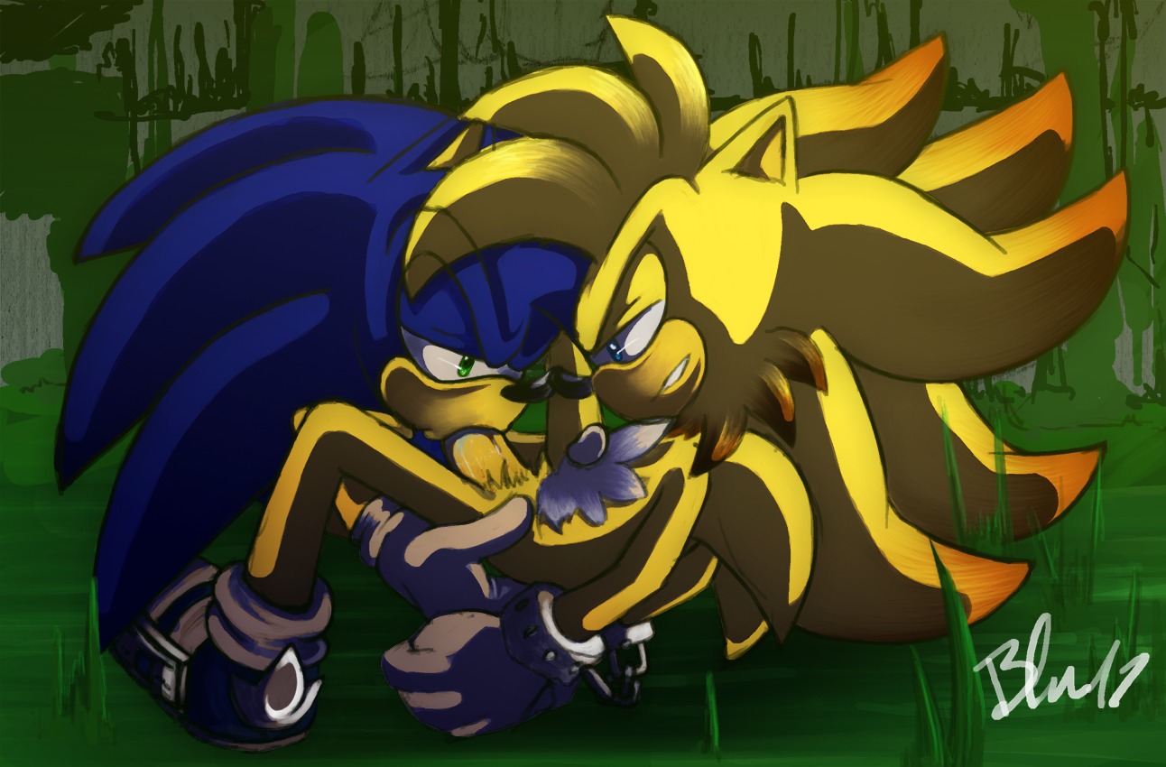 anthro blue_body blue_fur blue_hair clothing duo e621 erection eulipotyphlan fellatio footwear fur genitals green_eyes hair hedgehog male male/male male_penetrated male_penetrating male_penetrating_male mammal oral oral_penetration penetration penile penis sega sex shoes sonic_the_hedgehog sonic_the_hedgehog_(series) unknown_artist
