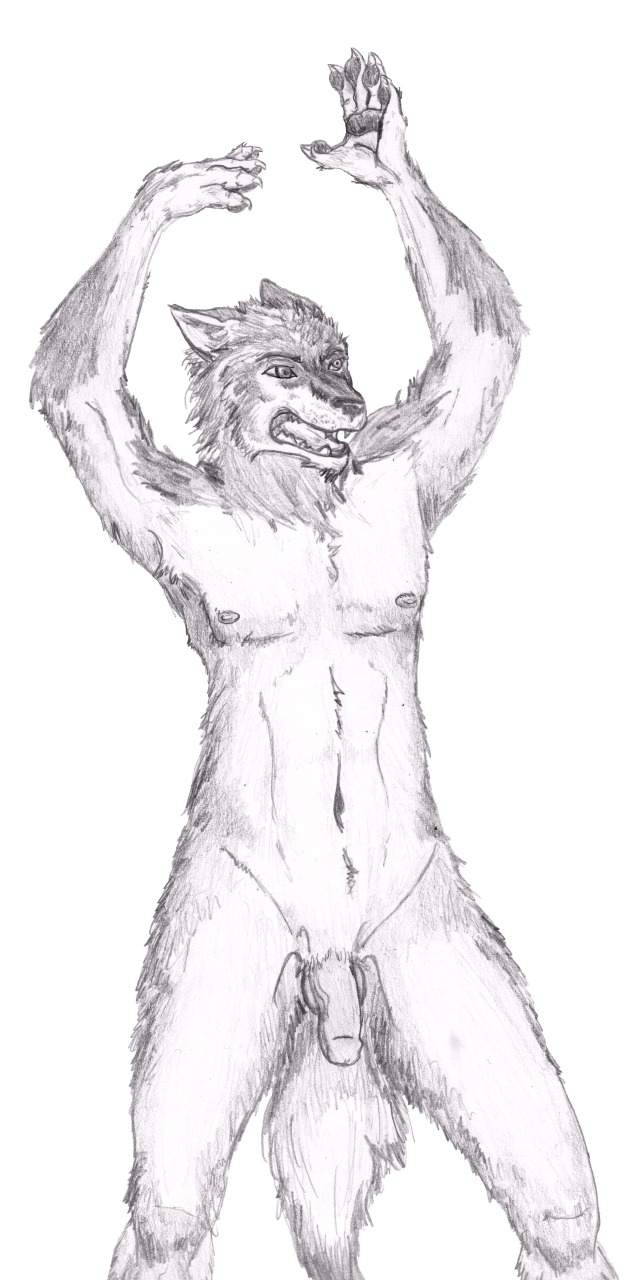 anthro balls black_and_white canid canine canis claws domestic_dog e621 flaccid genitals hi_res husky looking_away male mammal monochrome nipples nordic_sled_dog nude open_mouth paws pencil_(object) penis semiotica solo spitz tail teeth tongue vein wide_hips
