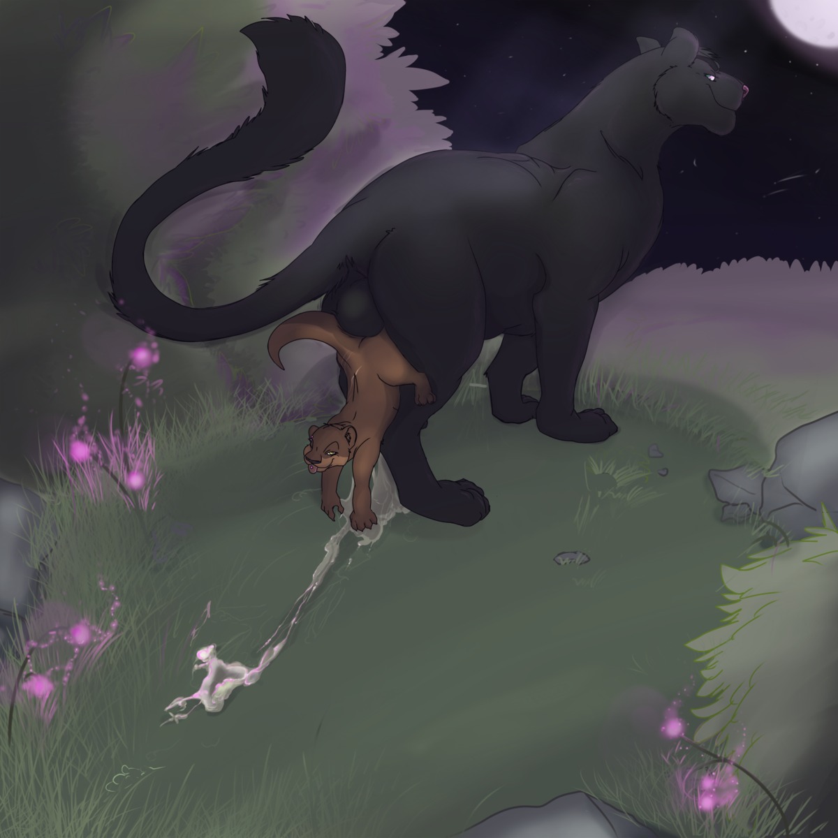 1:1 after_sex anonymous_artist ass_to_ass balls balls_deep big_balls black_body black_fur bodily_fluids claws cock_hanging cum cum_pool cum_trail deep_penetration detailed_background digitigrade dominant duo e621 felid female female_penetrated feral feral_on_feral forest fur genital_fluids genitals hi_res interspecies larger_dom larger_male male male/female male_penetrating male_penetrating_female mammal moon mustelid nature night nude otter outside pantherine parent_(lore) penetration penile penile_penetration penis_in_vagina plant quadruped sex shanaa size_difference smaller_female smaller_penetrated tail the_shadow_of_light tight_fit tree ubaya vaginal vaginal_penetration