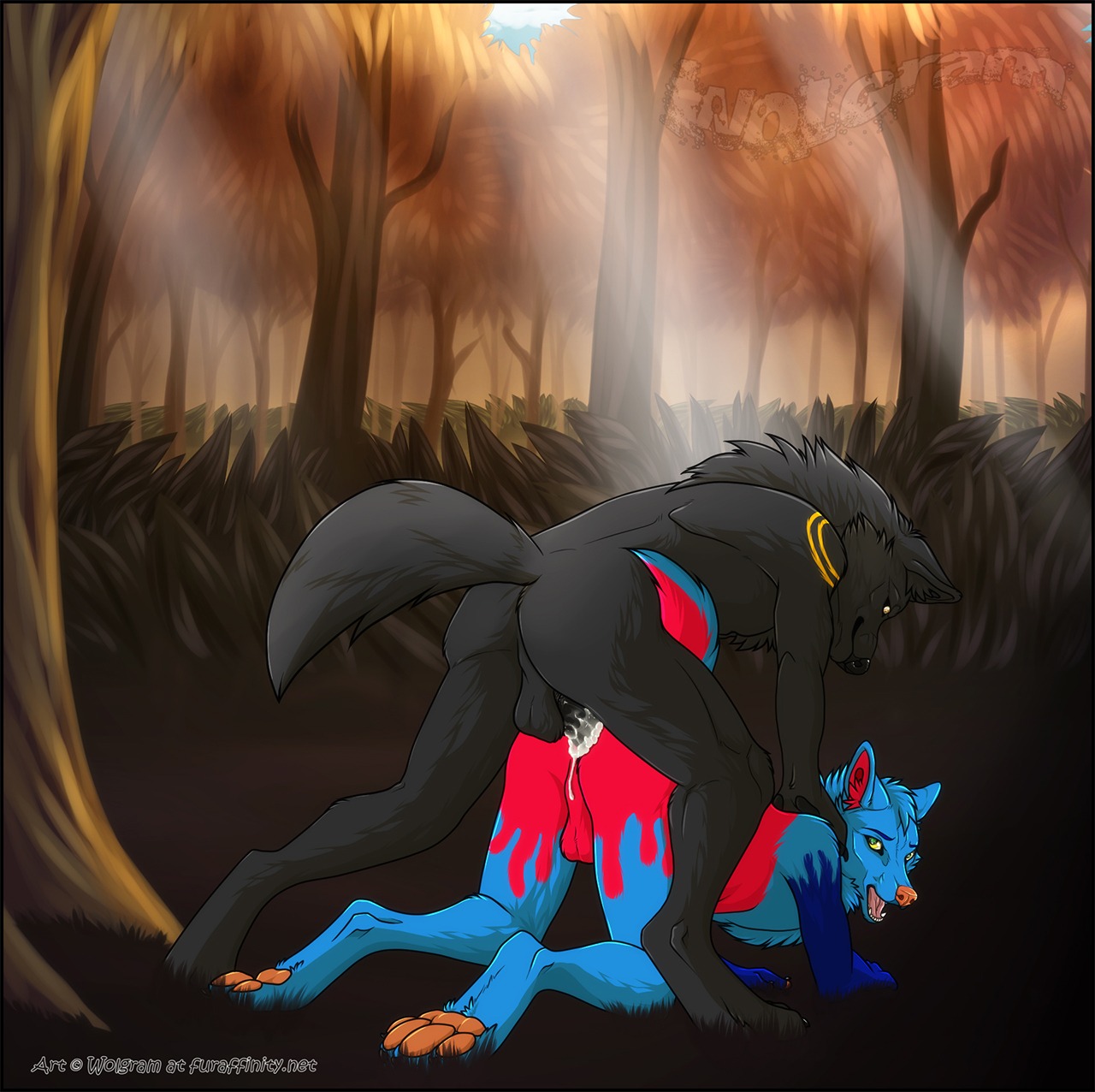 2013 all_fours anal anal_penetration anthro ass_up backsack balls black_body black_fur blue_body blue_fur bodily_fluids butt canid canine canis cum cum_in_ass cum_inside detailed_background doggystyle duo e621 erection forest from_behind_position fur genital_fluids genitals hi_res looking_back male male/male male_penetrated male_penetrating male_penetrating_male mammal nature nude outside pawpads paws penetration penis plant sex tree wolf zarkayrin