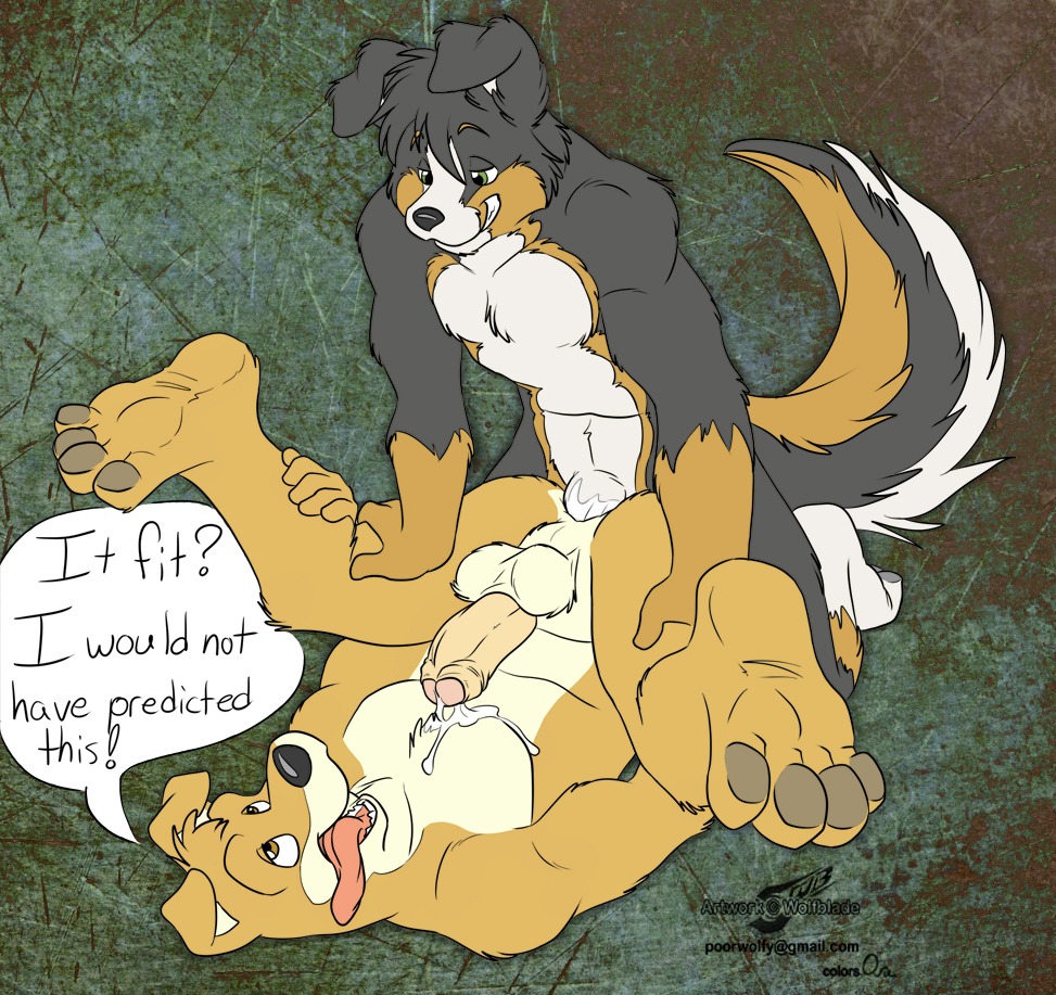 anal anthro border_collie canine english_text foreskin fur furry gay golden_retriever hunter_(road_rovers) male male/male male_only ora penis road_rovers rule34 sex uncircumcised wolfblade yaoi