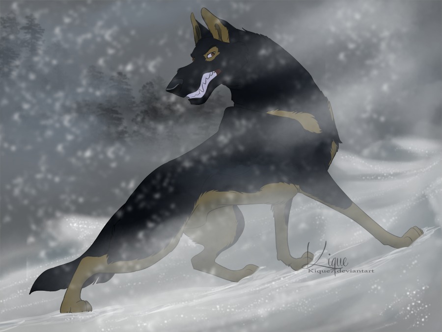 animal_genitalia canid canine canis domestic_dog e621 enriquecer feral fully_sheathed genitals german_shepherd growling herding_dog male mammal outside pastoral_dog sheath snow snowing solo streetdog teeth winter