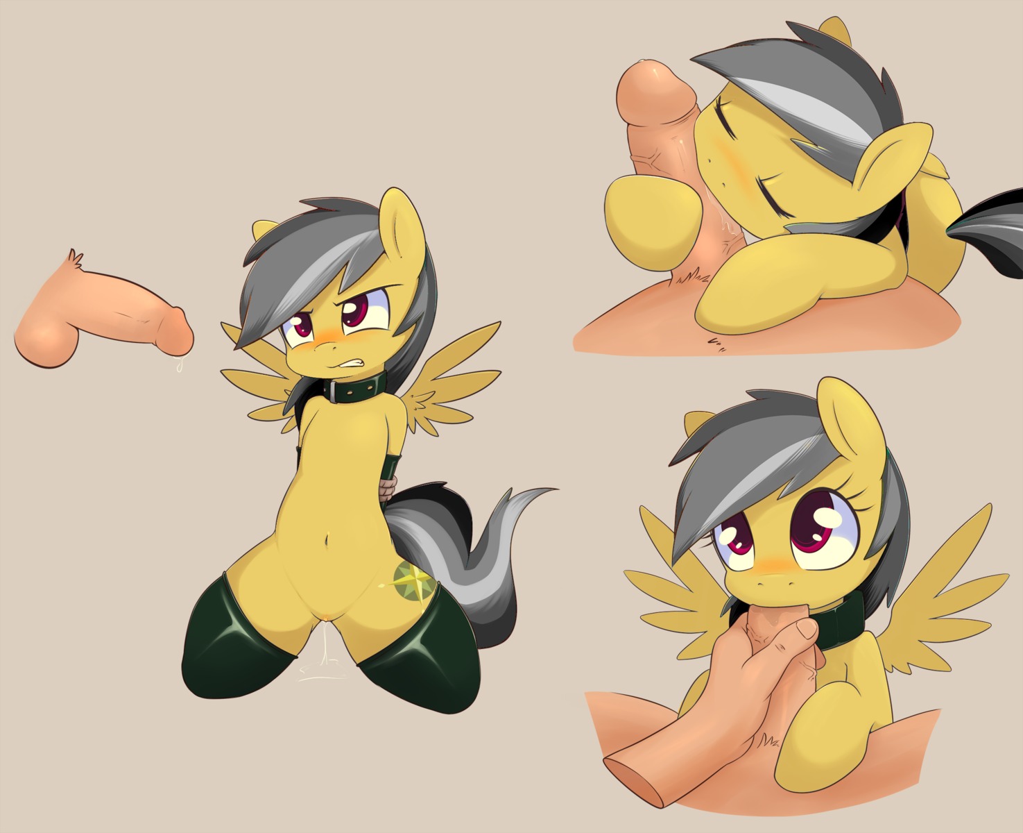 balls bdsm bestiality blush bodily_fluids bondage bound clothing collar cutie_mark daring_do_(mlp) disembodied_hand disembodied_penis duo e621 equid equine erection feathered_wings feathers fellatio female female_on_human female_penetrated feral feral_penetrated friendship_is_magic genital_fluids genitals grumblepluck hair hasbro hi_res human human_on_feral human_penetrating human_penetrating_feral humanoid_genitalia humanoid_penis interspecies kneeling legwear male male/female male_on_feral male_penetrating male_penetrating_female mammal multicolored_hair my_little_pony mythological_creature mythological_equine mythology nude oral oral_penetration pegasus penetration penile penis purple_eyes sex sideways_oral simple_background stockings tail third-party_edit two_tone_hair vaginal_fluids vulva wings
