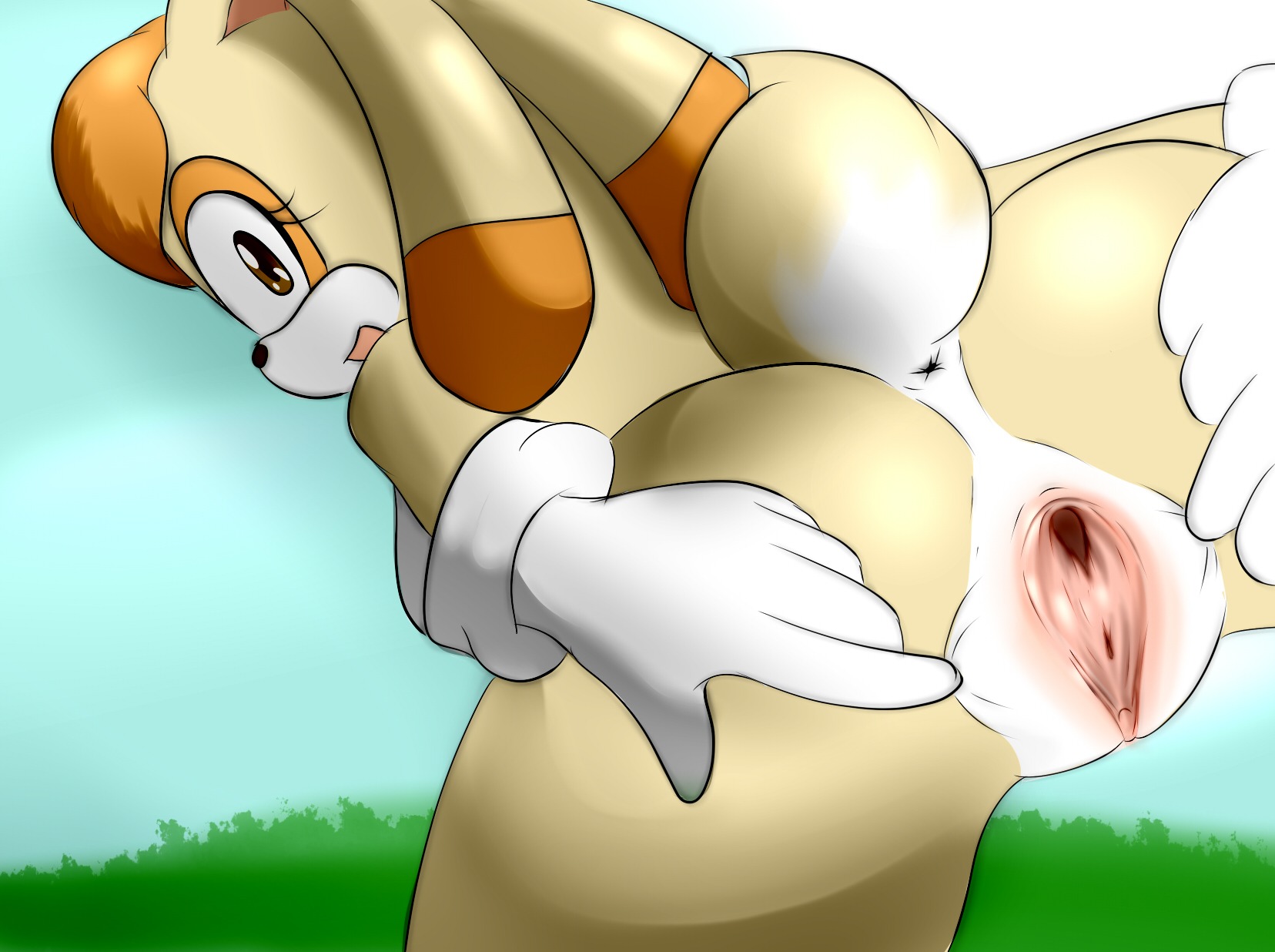 anthro anus ass back_view color day female female_only fur furry killy00 nude orange_fur outdoors pussy rabbit rule34 sega solo sonic_(series) sonic_the_hedgehog_(series) tagme tan_fur uncensored vanilla_the_rabbit vulva white_fur