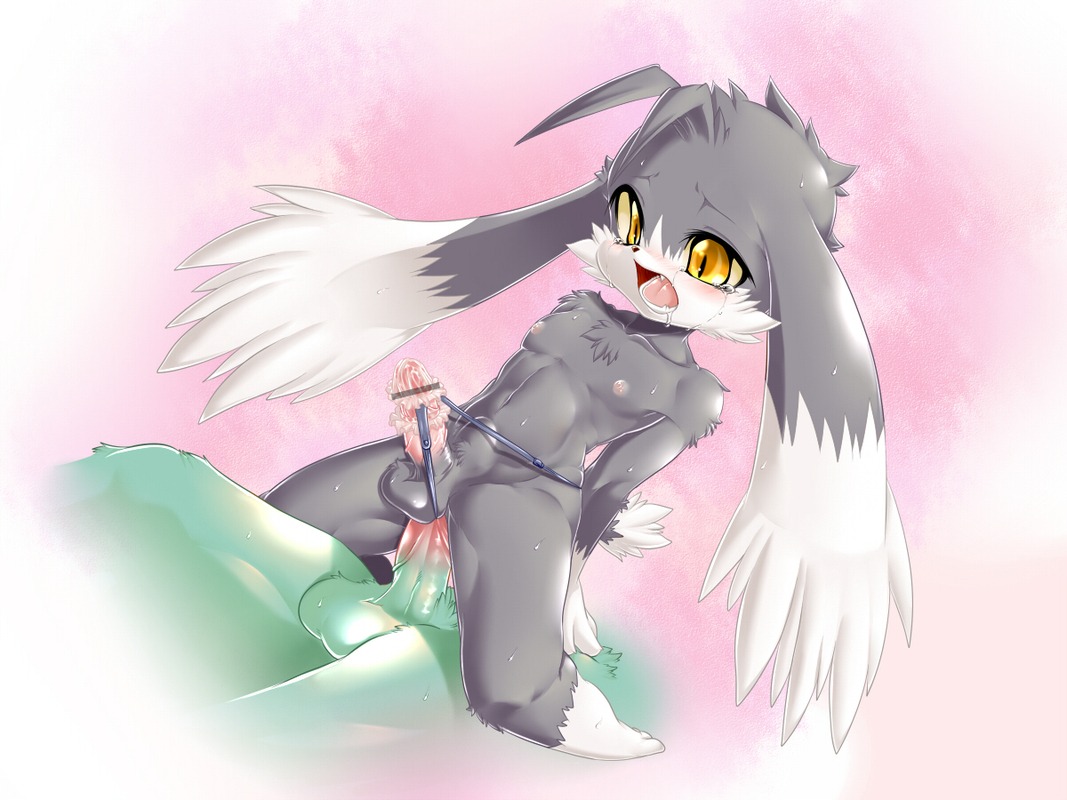 anal anal_penetration anthro balls bandai_namco censor_bar censored domestic_cat duo e621 erection felid feline felis genitals ineffective_censorship king_of_sorrow klonoa klonoa_(series) male male/male male_penetrated male_penetrating male_penetrating_male mammal penetration penis sex shaolin_bones yellow_eyes