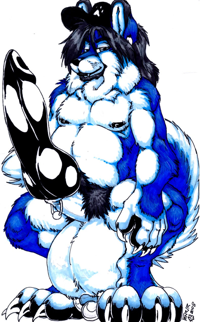 animal_genitalia anthro balls big_balls big_penis black_penis blue_body blue_eyes blue_fur canid canine canis clothing digitigrade domestic_dog e621 erection feet fenrir_lunaris fur genital_piercing genitals hat hat_only headgear headgear_only headwear headwear_only hi_res hindpaw huge_balls huge_penis husky hyper hyper_balls hyper_genitalia hyper_penis knot looking_at_viewer male mammal mostly_nude nipples nordic_sled_dog overweight overweight_anthro overweight_male paws penis penis_piercing piercing sheath solo spitz tail thellos