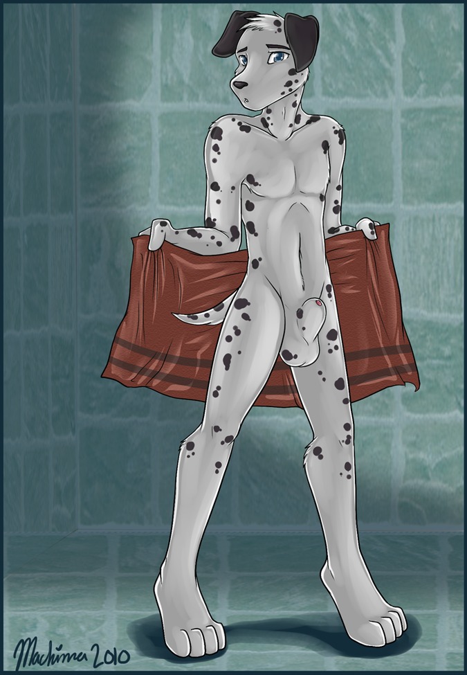 2010 animal_genitalia anthro balls black_body black_fur black_nose black_spots blue_border blue_eyes border canid canine canis dalmatian domestic_dog e621 fully_sheathed fur genitals machina male mammal markings nude penis penis_tip sheath solo spots spotted_body spotted_fur towel white_body white_fur