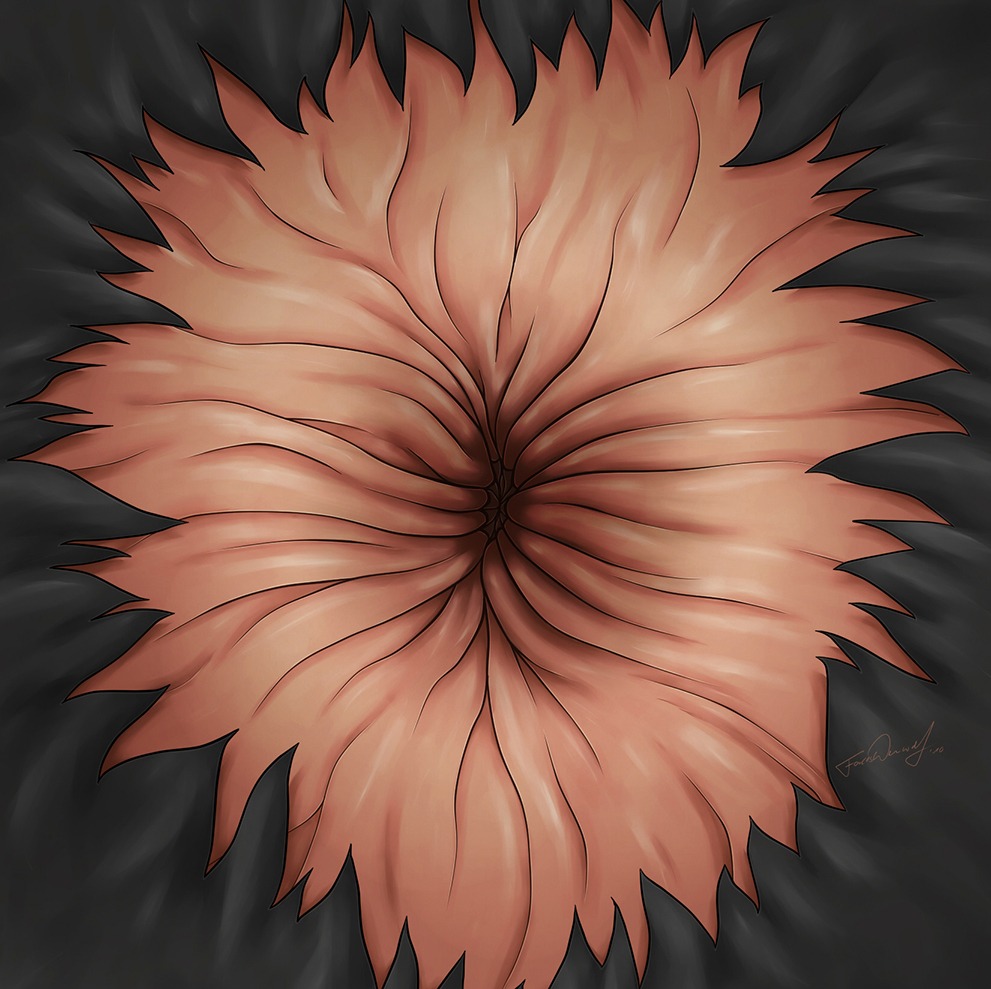 ambiguous_form ambiguous_gender ambiguous_species anus anus_focus black_body black_fur close-up colored crotch_shot detailed_anus digital_media_(artwork) e621 forceswerwolf fur solo