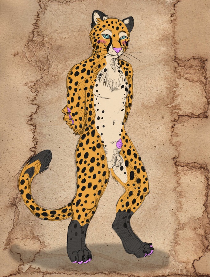 alma_aurora animal_genitalia anthro balls biped black_body black_fur blue_eyes blush cheetah chest_tuft digitigrade e621 excited felid feline fur genitals leg_markings male mammal markings multicolored_body multicolored_fur nude penile_spines penis penis_tip sheath socks_(marking) solo spots spotted_body spotted_fur tail tuft white_body white_fur