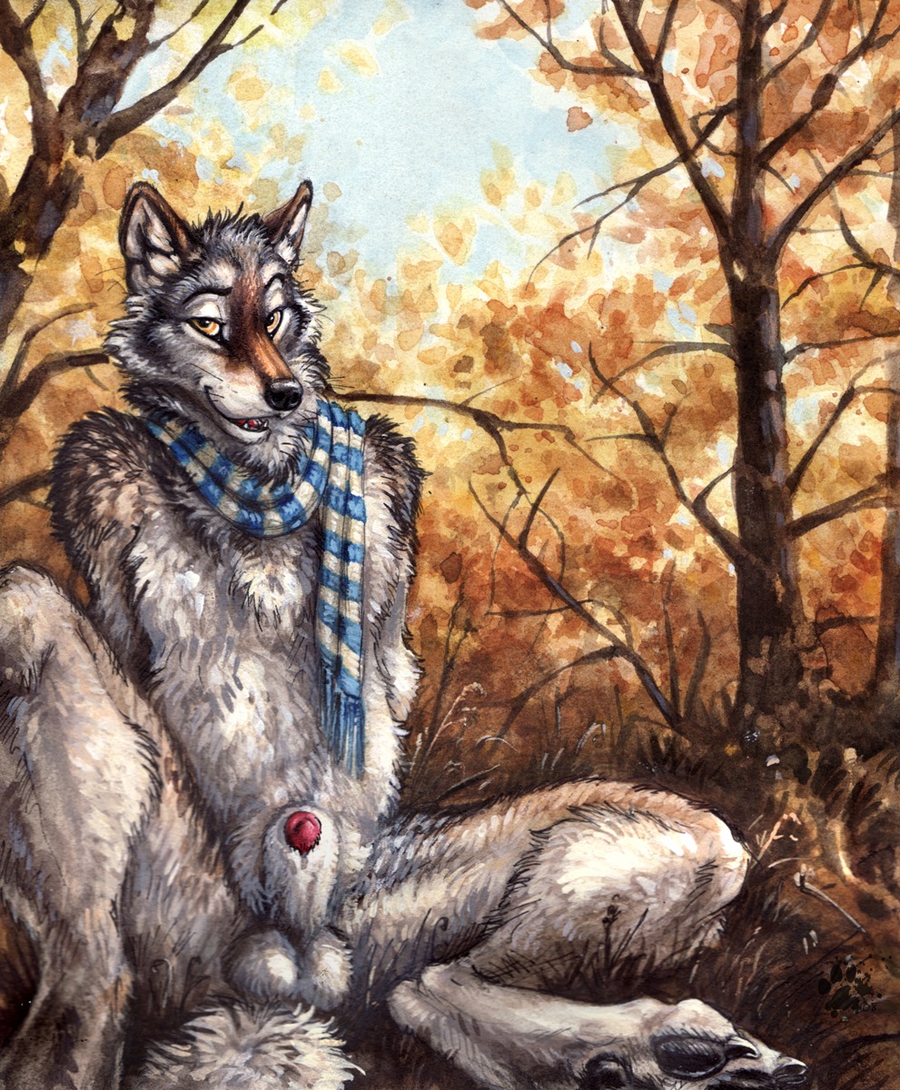 2007 animal_genitalia animal_penis anthro autumn balls blotch canid canine canine_genitalia canine_penis canis detailed_background e621 forest genitals hi_res looking_at_viewer male mammal mostly_nude nature november nude outside penis penis_tip plant presenting presenting_penis scarf scratches_volume_4 seductive sheath solo spread_legs spreading tail traditional_media_(artwork) tree wolf yellow_eyes
