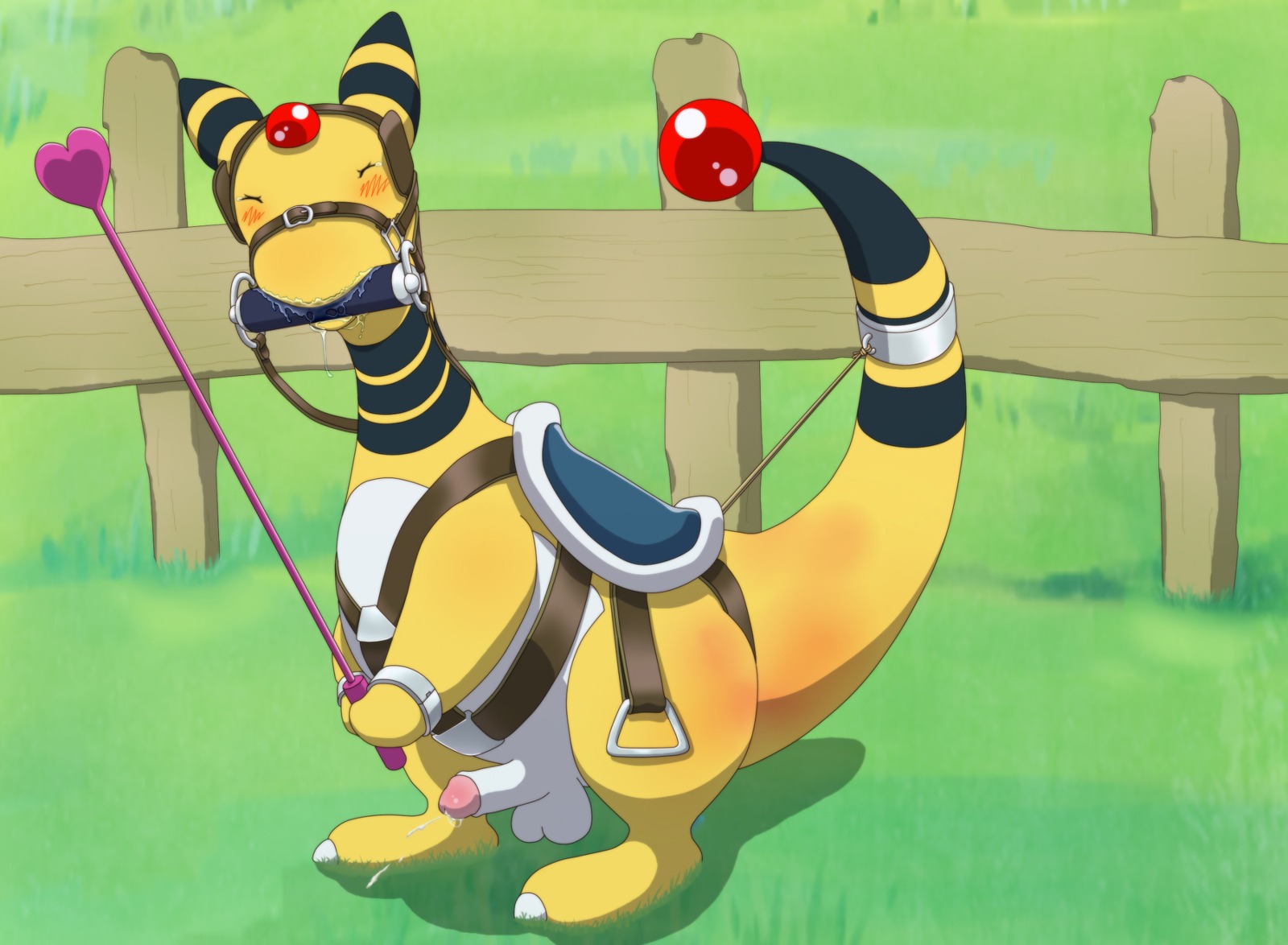 2011 ampharos balls blush color day feral heartabcd male male_only nintendo nude outdoors penis pokemon pokemon_(species) rule34 saddle solo tagme tail testicles