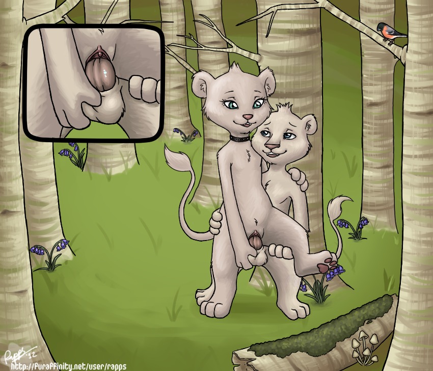 bird brother_and_sister father_of_the_pride female forest hunter_(father_of_the_pride) incest lion outdoors pussy rapps rule34 sierra_(father_of_the_pride) trees vaginal_penetration white_lion young