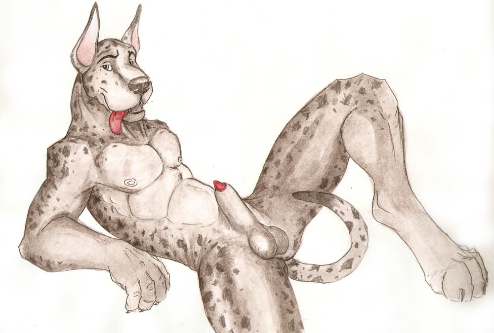 animal_genitalia animal_penis anthro balls black360 canid canine canine_genitalia canine_penis canis claws colored domestic_dog e621 feet genitals great_dane hindpaw leaning leaning_backward looking_at_viewer male mammal mastiff molosser nipples nude paws penis penis_tip pose red_penis sheath simple_background smile solo spread_legs spreading tail white_background