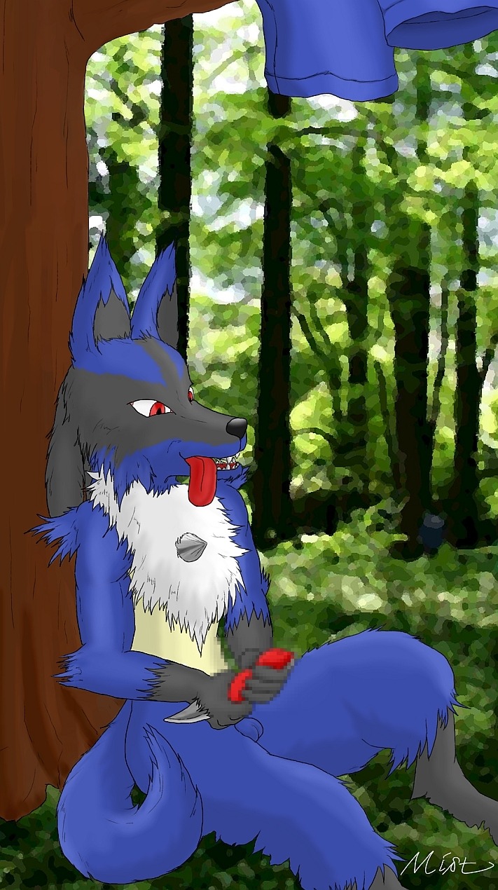 censored fur lucario male male_only pokemon pokemon_(species) rule34 tagme