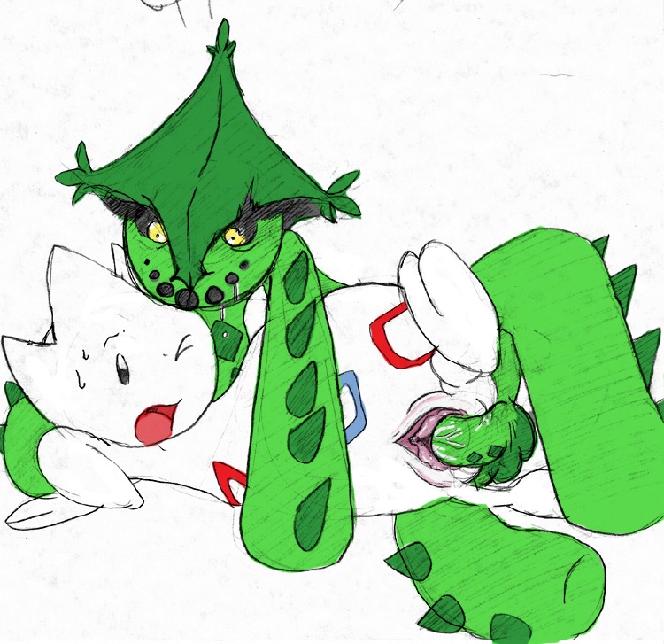 cacturne color female feral green_skin insertion interspecies male penis pokemon pokemon_(species) pokemon_focus pokemon_gsc pokemon_rse pussy rule34 sex straight togetic vaginal_penetration vulva white_skin