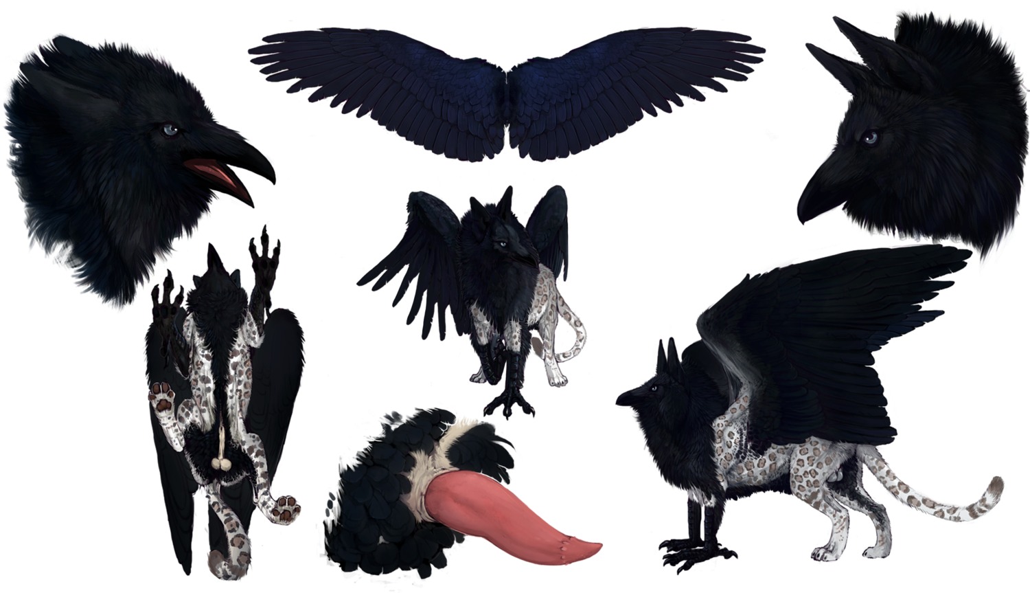 4_toes anisodactyl avian avian_feet balls beak bird corvid corvus_(genus) crow e621 erection faunoiphilia feathered_wings feathers feet felid feral genitals grave_gryphon gryphon hi_res jaguar leucistic low-angle_view male mammal model_sheet mythological_avian mythological_creature mythology nude nukerooster oscine pantherine passerine paws penile_spines penis raven rictal_bristles side_view simple_background solo tail talons tapering_penis toes turnaround white_background wings worm's-eye_view