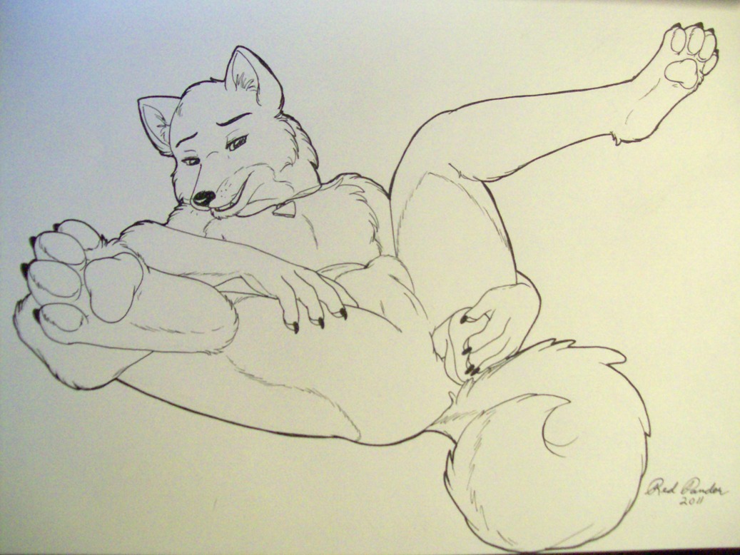 2011 anal anal_masturbation anal_penetration anthro balls biped canid canine canis claws dildo domestic_dog e621 feet genitals hindpaw husky jewelry looking_at_viewer lying male mammal masturbation necklace nordic_sled_dog nude on_back pawpads paws penetration penis perineum redpander sex_toy sketch solo spitz spread_legs spreading thaine toying_self