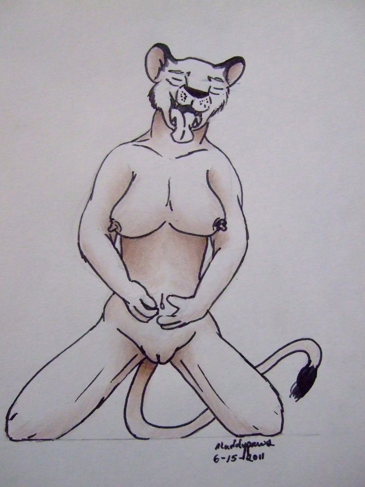 2011 3:4 absurd_res anthro areola biped breasts e621 eyes_closed fangs felid female front_view fur genitals hi_res kneeling lion mammal muddypaws navel nipples nude open_mouth pantherine simple_background smile solo tail teeth tongue tongue_out vulva white_background white_body white_fur