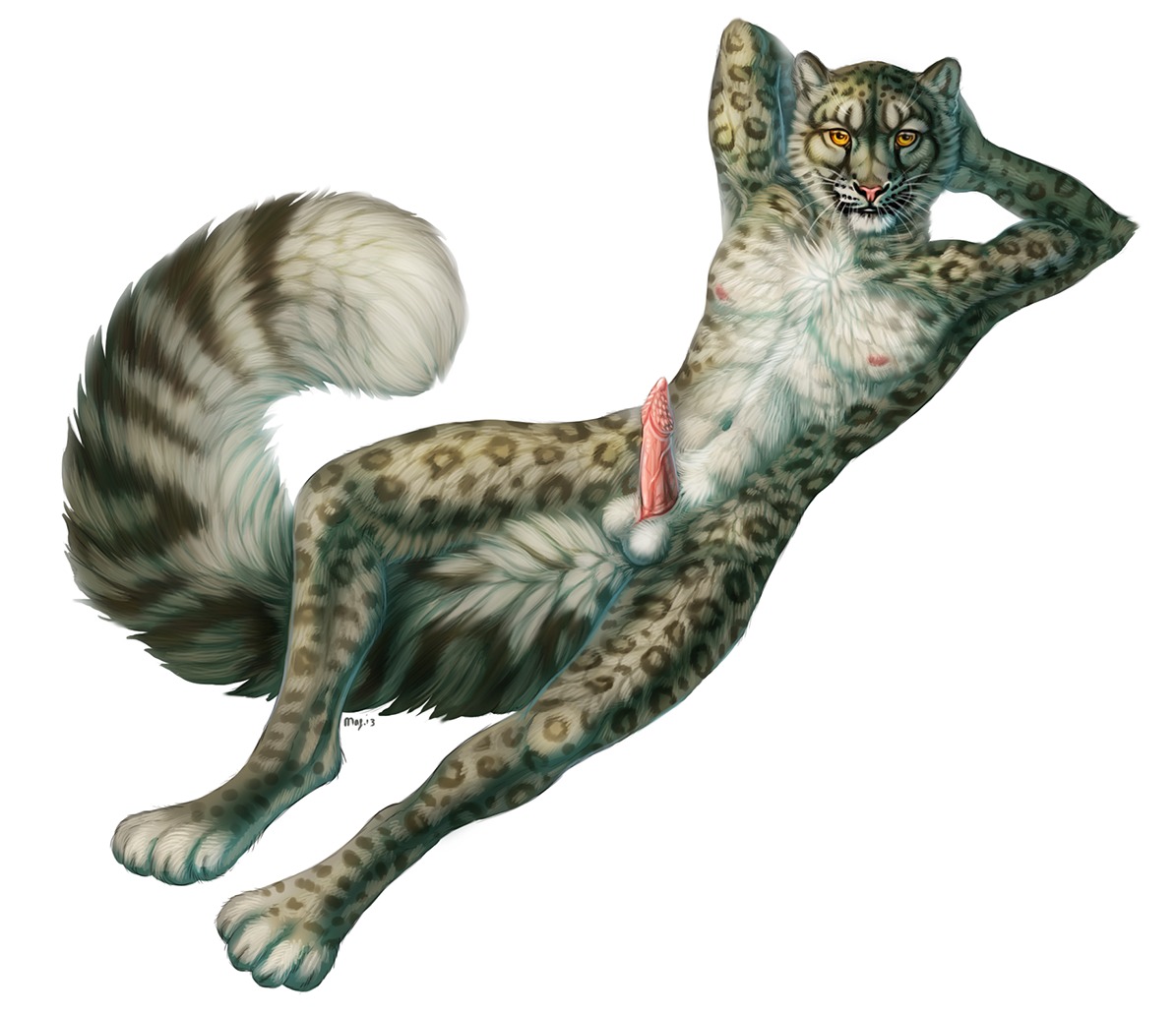 2013 amber_eyes animal_genitalia animal_penis anthro balls e621 erection felid feline_genitalia feline_penis genitals hands_behind_head leopard looking_at_viewer male mammal maquenda nude pantherine penile_spines penis pink_nose pink_penis pinup pose simple_background snow_leopard solo vein white_background