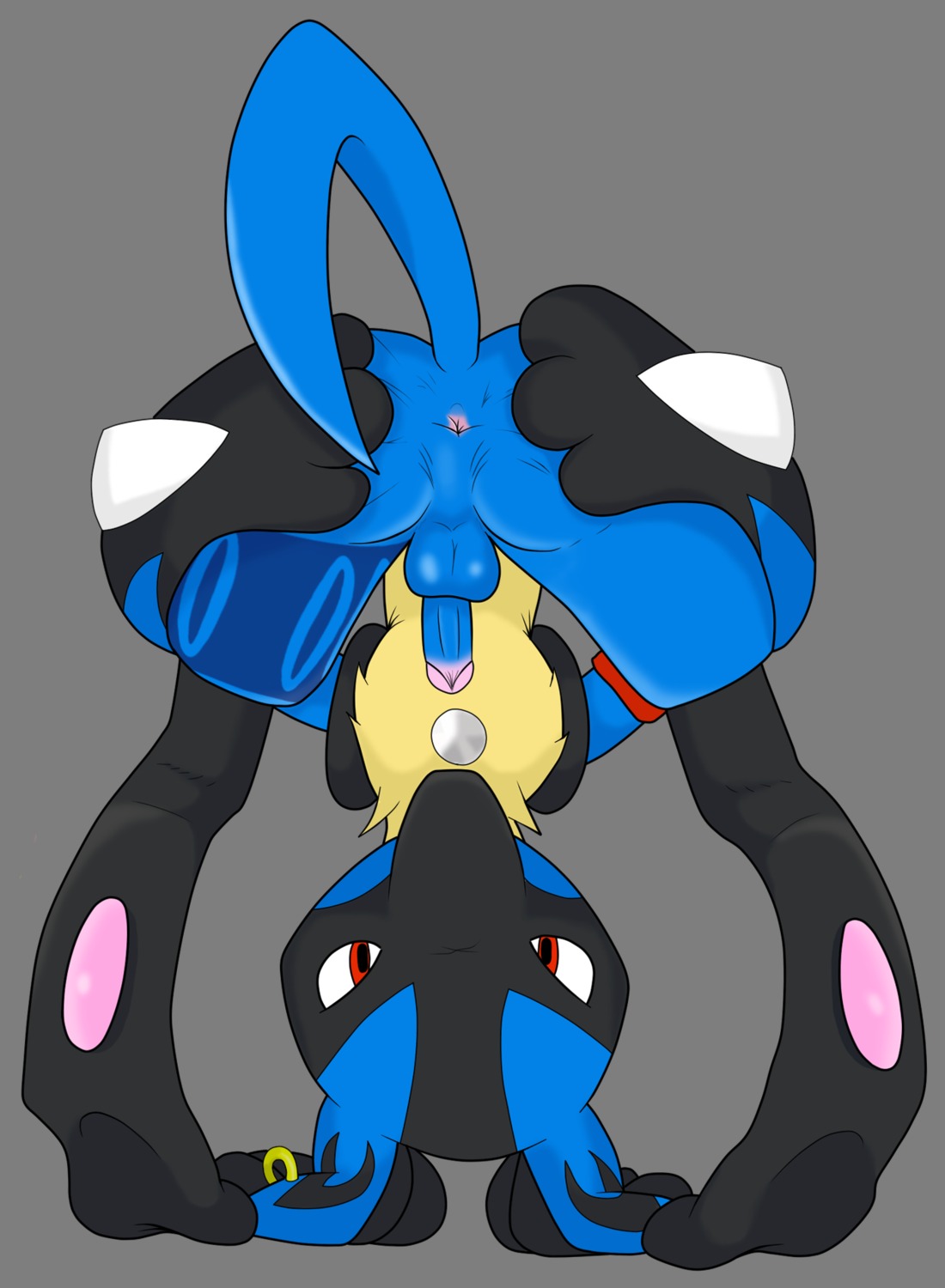 alpha_channel anthro anus backsack balls black_body black_fur blue_body blue_fur butt canid canine e621 ear_piercing erection fur generation_4_pokemon genitals hi_res humanoid_genitalia humanoid_penis jenokamui lucario male mammal nintendo penis piercing pokemon pokemon_(species) presenting presenting_hindquarters red_eyes simple_background solo spread_butt spread_legs spreading tail transparent_background yellow_body yellow_fur