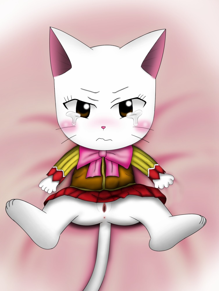 animal_ear character_request charle charle_(fairy_tail) fairy_tail female furry pussy rule34 tail tear