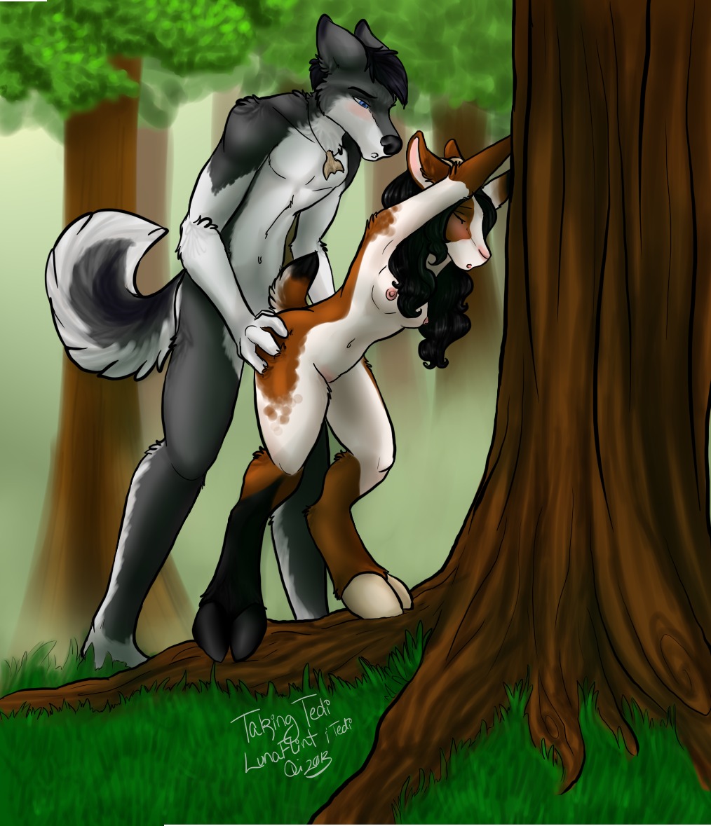 anthro anthro_on_anthro blue_eyes bodyguard_position bovid breasts butt canid canine canis caprine conditional_dnp detailed_background digital_media_(artwork) duo e621 female female_penetrated forest from_behind_position goat grass jewelry luna_flint male male/female male_penetrating male_penetrating_female mammal nature necklace nipples nude oli_snowpaw outside penetration plant sex shaded standing standing_sex tedi tree wolf