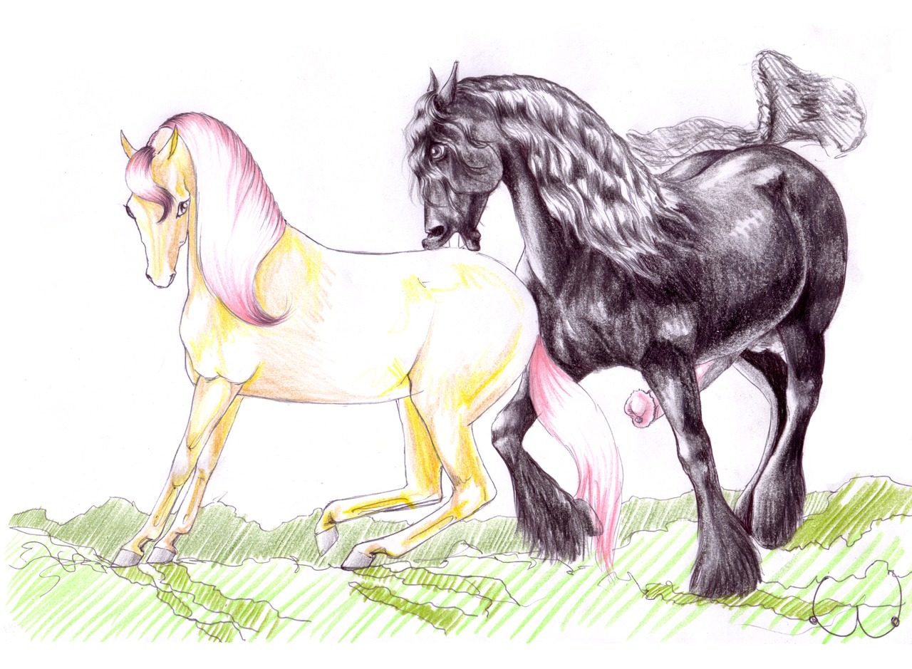 2012 animal_genitalia animal_penis balls black_body black_eyes black_fur black_hair boobcat day draft_horse duo e621 equid equine equine_genitalia equine_penis erection female feral feral_on_feral flared_penis friesian fur genitals grass grey_eyes hair hooves horse looking_back male male/female mammal mane nibbling nude outside penis pink_hair plant pony ponytail quadruped simple_background sky tail traditional_media_(artwork) yellow_body yellow_fur