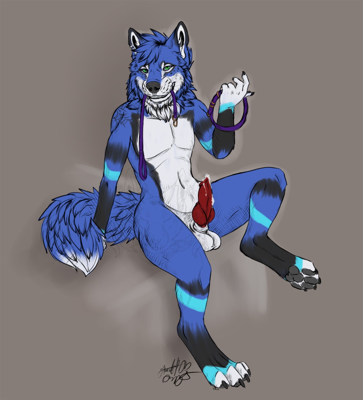 2014 animal_genitalia anthro balls barefoot biped black_body black_fur blue_body blue_fur bodily_fluids canid canine canis claws collar cum cum_on_penis e621 erection feet fur genital_fluids genitals green_eyes hair hi_res hindpaw inviting knot krimzen_redwing leash looking_at_viewer male mammal mouth_hold naughty_face nude paws penis pinup pose precum red_penis serix sheath simple_background smile solo spread_legs spreading tattoo white_balls white_body white_fur wolf