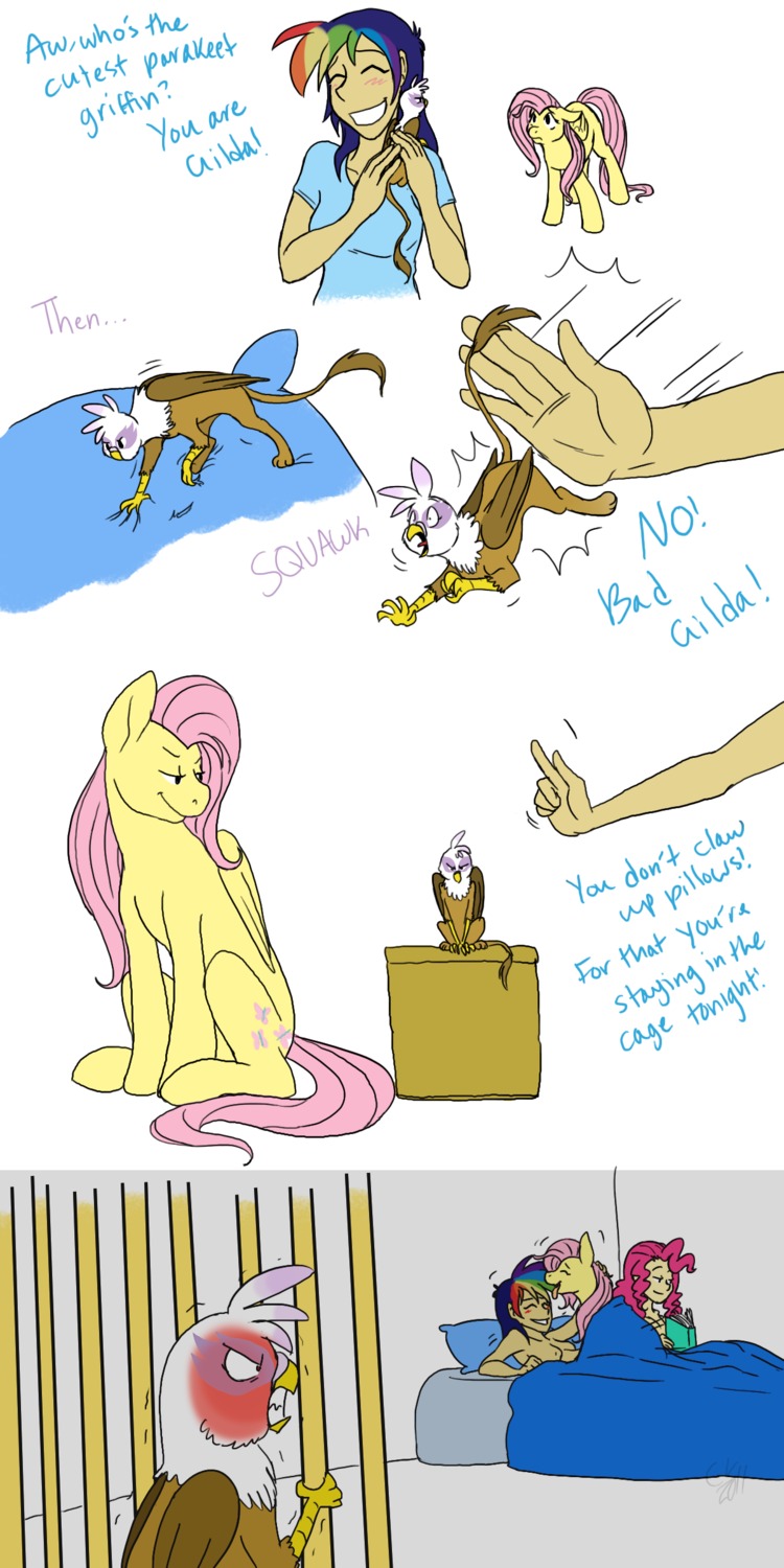 angry avian bed cartoonlion equine female feral fluttershy_(mlp) friendship_is_magic gilda gilda_(mlp) gryphon horse human humanized interspecies mammal micro my_little_pony mythological_avian mythological_creature mythological_equine mythology pegasus pinkie_pie_(eg) pinkie_pie_(mlp) pony rainbow_dash_(eg) rainbow_dash_(mlp) rule34 sitting smooth_skin tail wings