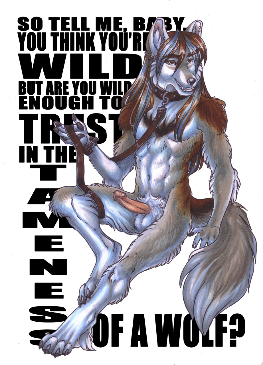 anthro balls canid canine canis cockiestspaniel collar e621 english_text erection genitals hi_res humanoid_genitalia humanoid_penis leash looking_at_viewer male mammal offering_leash penis simple_background solo tail text wolf