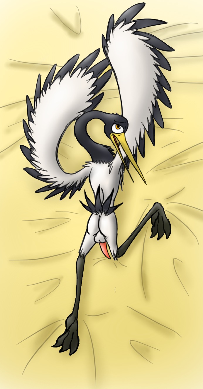 4_toes anisodactyl avian backsack balls bassybefuddle beak bed bird black-necked_crane butt conditional_dnp crane_(bird) dreamworks e621 erection feet feral furniture genitals gruiform grus_(genus) hi_res kung_fu_panda looking_at_viewer male master_crane non-mammal_balls nude penis pose solo tapering_penis toes white_balls