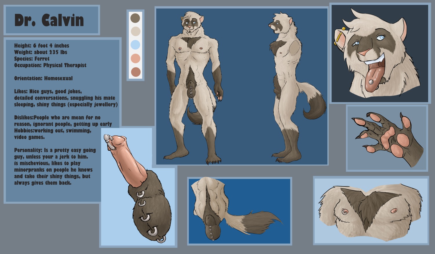 absurd_res anthro color_swatch domestic_ferret drcalvin e621 english_text erection genital_piercing genitals hi_res male mammal model_sheet mustelid musteline nipple_piercing nipples penis penis_piercing piercing prince_albert_piercing purplepardus ring side_view solo tail text true_musteline weasel